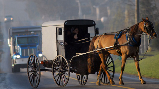 Racecars Versus The Amish: Last Week's TV Ratings, In Context